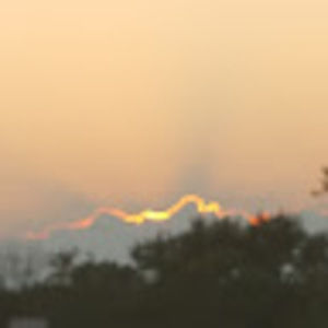 Meet your Posher, Ebony